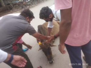 IMG 20230730 WA0333 1