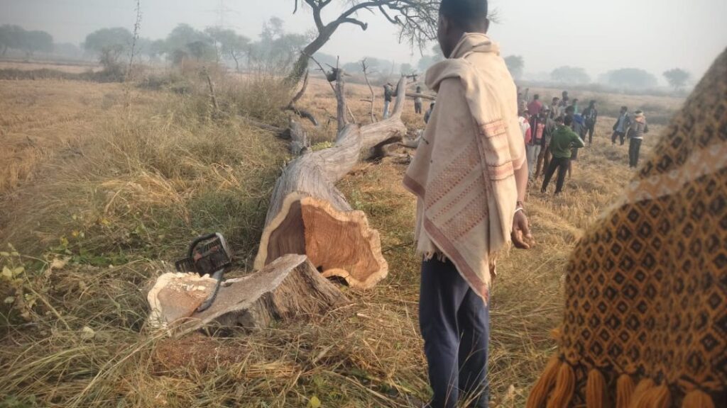पेड़ काटते समय कटे हुए पेड़ में दबने से एक व्यक्ति की मौत। 2 IMG 20231225 WA0012 1068x601 2