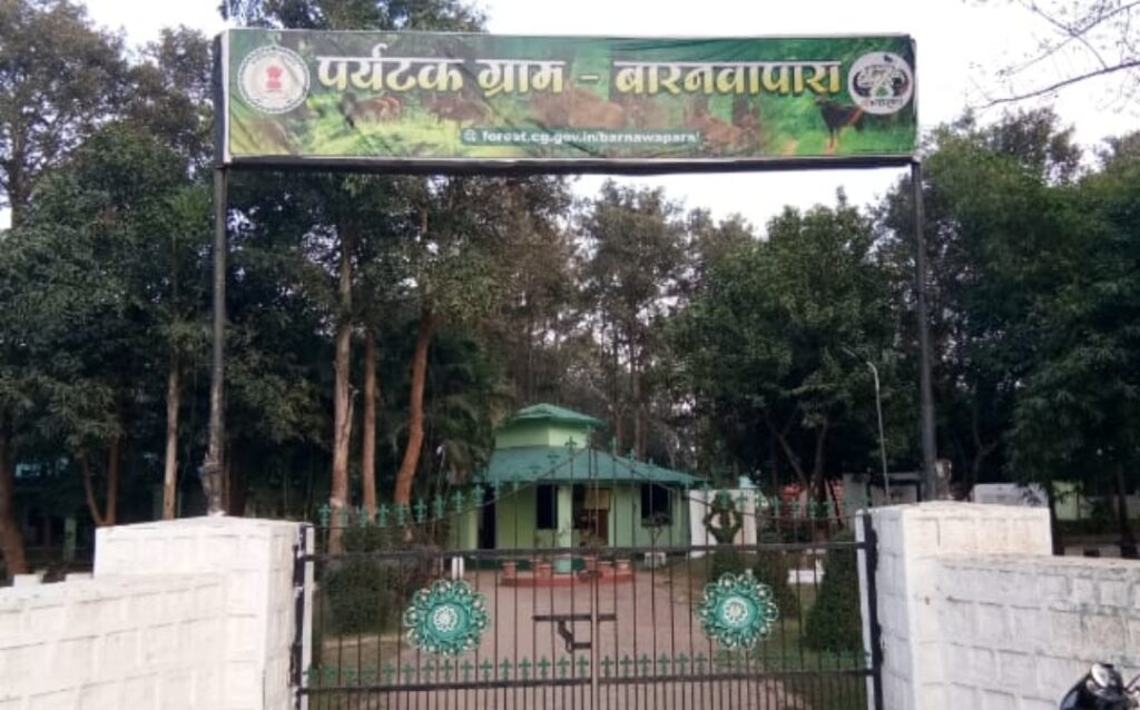 बारनवापारा अभ्यारण्य में सफारी के दौरान पर्यटकों को दिख रहें वन्यप्राणी, सैकड़ों की संख्या में पहुँच रहें है । 1 Polish 20240129 120356879