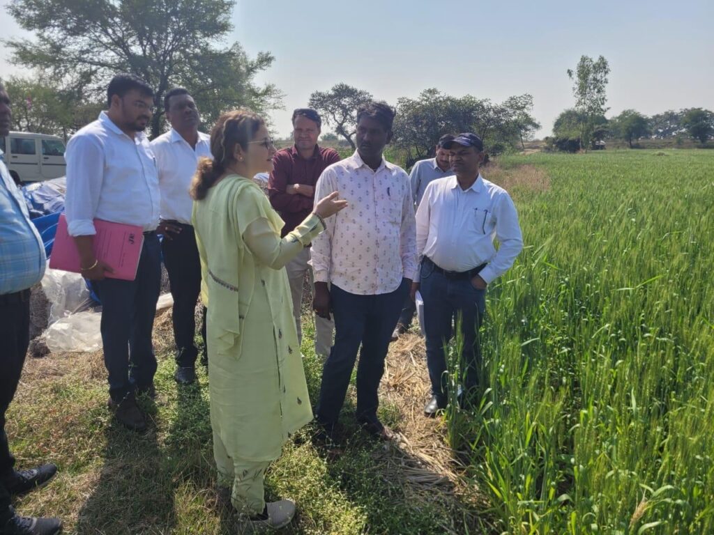 योजनाओ की क्रियान्वयन संबधी जानकारी लेने फील्ड में पहुंचे कृषि संचालक 2 Polish 20240204 164557252