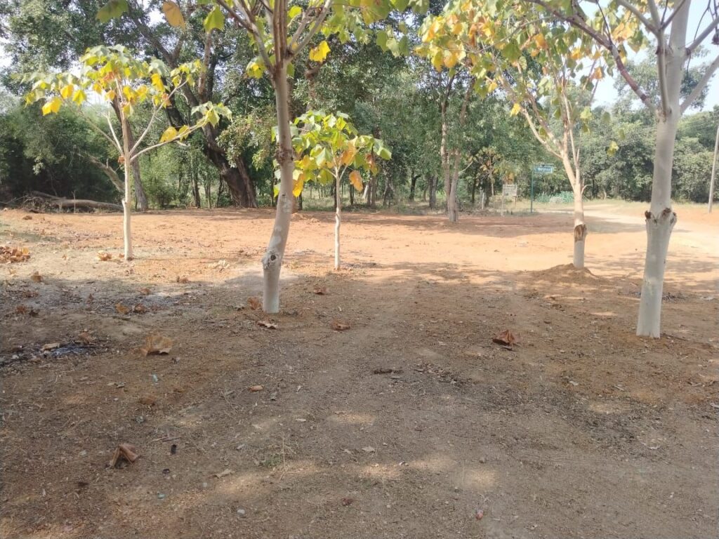 प्रकृति प्रेमियों के लिए पसंदीदा स्थान बना बारनवापारा अभ्यारण्य,जानवरों को करीब से जानने पर्यटकों के लिए तीन नये सफारी मार्ग एवं तीन नये गेट बनकर हुआ तैयार। 3 img 20241118 wa00414992792973295704678