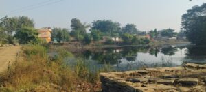 ग्राम करदा में देखा गया था अब ग्राम कोटा पहुँचा बाघ, वन विभाग सहित पुलिस प्रशासन के तमाम अधिकारी मौजूद, रेस्क्यू करने जुटा वन अमला 1 img 20241126 wa0007 1024x4612972735406317642969 1