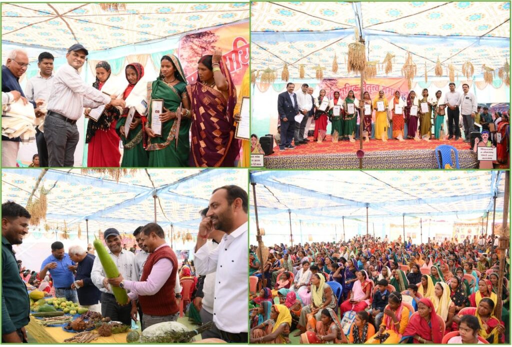 कल्प समाज सेवी संस्था के द्वारा 50 गांवों में मनाया गया बीज उत्सव। 1 img 20241208 wa01867454612412702104353